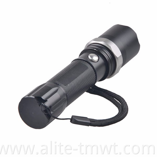 Rechargeable Blacklight Flashlight Ultraviolet LED UV Torch with Zoom